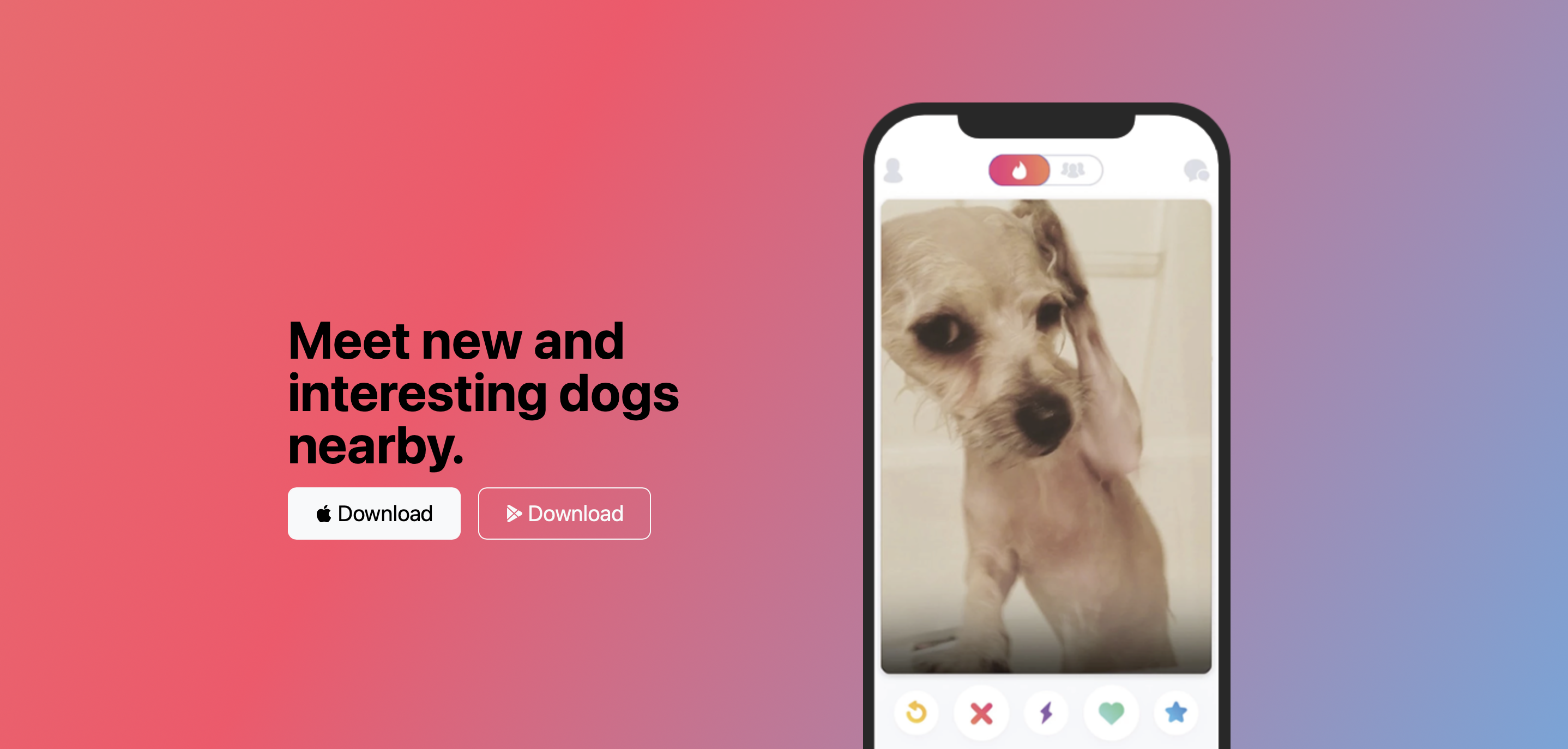 tindog project